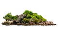 The trees. Mountain on the island and rocks.Isolated on White background