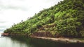 The trees. Mountain on the island and rocks. Jungles, trees, river. Mangrove landscape. Thailand Royalty Free Stock Photo