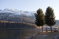 Trees and mountain lake