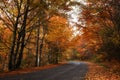 Autumn impressions in fairytale colors from the mountains road, remarkable autumn colors in the mountain forest