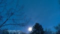 Trees and Peak Illuminated by Moon
