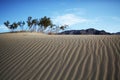 Trees and mountain on top of sand dune Royalty Free Stock Photo