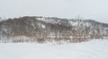 Trees on the mountain in winter Royalty Free Stock Photo