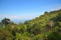 Trees on a mountainous area at Genting Highland Royalty Free Stock Photo