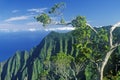 Trees and Mountains on the Na Pali Coast Line, Kauai, Hawaii Royalty Free Stock Photo