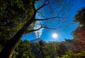 Trees, mountains, sun, blue skies, the universe. Royalty Free Stock Photo