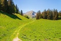 Trees on the mountains of Swizz Alps in Switzerland Royalty Free Stock Photo