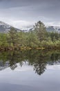 Trees and Mountains at Uath Lochan in Glen Feshie, Scotland. Royalty Free Stock Photo