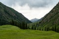 Trees and mountains with white clouds Royalty Free Stock Photo