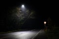 Trees and 40 mph speed limit sign under street lamp in UK Royalty Free Stock Photo