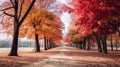 trees with multicolored leaves in the park .