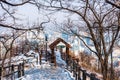 Trees in Namsan Mountain in winter with snow on the ground, with backgroud of hazy cityscape of downtown of Seoul, South Korea Royalty Free Stock Photo