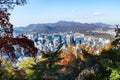 Trees in Namsan park and above view of Seoul city Royalty Free Stock Photo