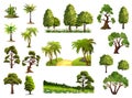 Trees, nature forest Royalty Free Stock Photo