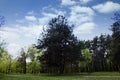 Trees, nature, landscape, sky, clouds Royalty Free Stock Photo