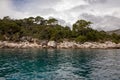 Trees and nature at Lokrum Island Coast, Dubrovnik, in Croatia Royalty Free Stock Photo