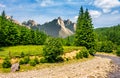 Trees near the river in mountains Royalty Free Stock Photo