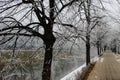 Trees next to the promenade. The trees have frost on the branches. Next to the trees and promenades is the river Miljacka. Winter