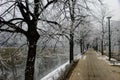 Trees next to the promenade. The trees have frost on the branches. Street lamps pore promenade. Next to the trees and promenades