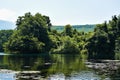 Trees next to river in the summertime on a sunny day