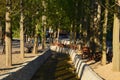 Trees next to a small river and a resort