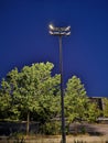 Trees at night light at the university campus Royalty Free Stock Photo