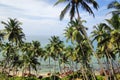 Trees ocean sky all together blissful view