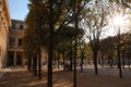 trees and old stone hall at the palais-royal in paris (france)