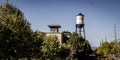 Trees with olde town arvada water tower in background