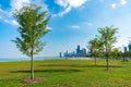 Trees at a Park along Lake Michigan framing the Chicago Skyline Royalty Free Stock Photo