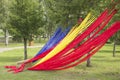 Trees in the Park are decorated with colored ribbons