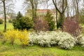 Trees in the park of Esterhazy Castle in Eisenstadt, Austria Royalty Free Stock Photo