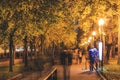 Trees in the park with evening lights lanterns.