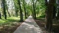 Trees in park of Kopernika in Gorzow Wielkopolski Royalty Free Stock Photo