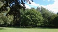 Trees in the park on a summers day Royalty Free Stock Photo