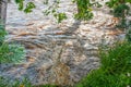 Trees partly immersed in flood water and big splash near shore as turbulent fast flowing water erodes river bank with wild flowers