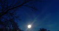 Trees and Peak Illuminated by Moon