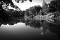 Trees and plant reflect in lake in black and white style Royalty Free Stock Photo