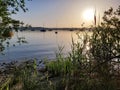 And plants by Ammersee lake and sailing boats on the horizon in Germany under sunset sky Royalty Free Stock Photo