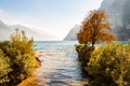 Trees and plants growing on the shore of beautiful Garda lake in Lombardy, Italy surrounded by high dolomite mountains. Sun beams Royalty Free Stock Photo