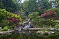 Trees, plants, and pond of Kyoto Garden in Kensington, UK