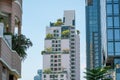 Trees plants on roof garden modern multistorey sunny building, inspired by urban architecture, landscape design and the Royalty Free Stock Photo