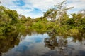Bushes and trees flooded by Amazon River. Trees reflecting in water. Riparian vegetation with mixed forest on Amazon River, Brazil Royalty Free Stock Photo