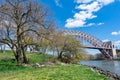 Trees and Plants during Spring along the East River on Randalls and Wards Islands of New York City with the Hell Gate Bridge in th Royalty Free Stock Photo