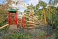 Trees and a playground are ripped up from Hurricane winds. Royalty Free Stock Photo