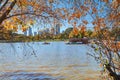 Trees and pond in the city park Royalty Free Stock Photo