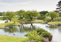 Trees and a pond in a park setting Royalty Free Stock Photo