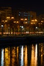 Trees and public lamps over Dambovita River at night. Horizonal Royalty Free Stock Photo