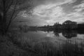 Trees, reeds, clouds and sky reflected in lake in black and white Royalty Free Stock Photo