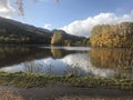 Trees reflect I the calm and tranquility of loch faskally Royalty Free Stock Photo